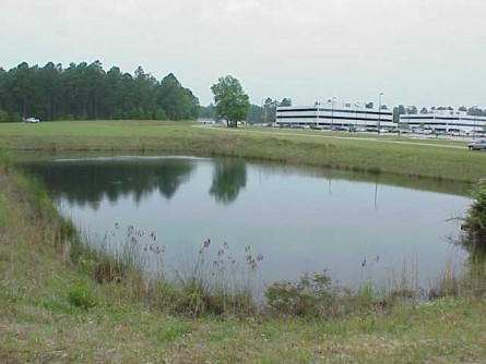 Researchers found that stormwater retention ponds are not completely effective at preventing road salts from contaminating streams and wetlands. Image credit: Virginia Tech