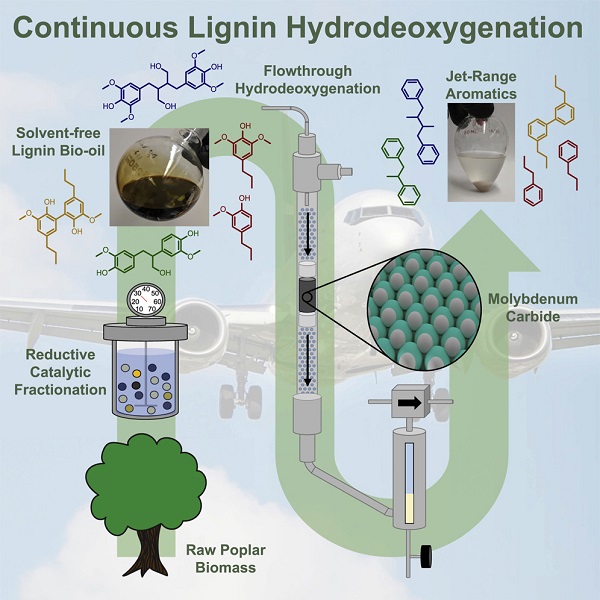 Sustainable Aviation Fuel Derived From Lignin GlobalSpec