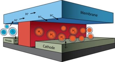 To cut the costs of full-scale prototypes for electrochemical energy conversion systems, DOE’s Joint Center for Artificial Photosynthesis has developed a test bed whose height and width are similar to the diameter of a human hair. The channels in which oxygen and hydrogen are generated by splitting water are separated by a chemically inert wall (red). The conduction of protons from one channel to the other (required for continuous operation), occurs via a membrane cap (blue). Image source: Microfluidic
