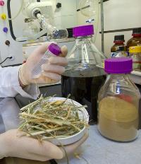 Using "bionic" liquids resulted in yields that exceed the production distillation required for industrial ethanol production.