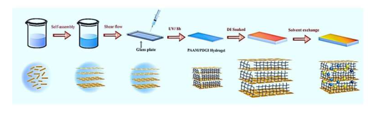 Preparation method of PDGI/PAAM (glycerol/water). Source: Advanced Optical Materials. DOI: 10.1002/adom.202302234