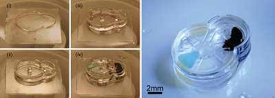Left: Layer-by-layer fabrication of support structures and assembly of gear components. Right: The complete device after layers have been sealed. Credit: Sau Yin Chin/Columbia Engineering