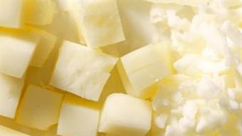 Food tech company Yangyoo creates global alternative to dairy cheese