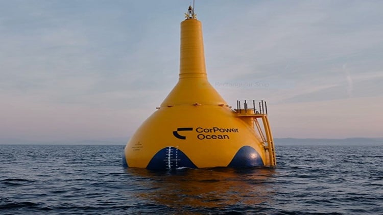 Video: Wave energy system weathers the storms