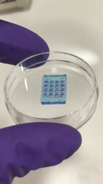 The retina replica consists of soft water droplets (hydrogels) and biological cell membrane proteins. Designed like a camera, the cells act as pixels, detecting and reacting to light to create a grey scale image. Credit: Oxford University