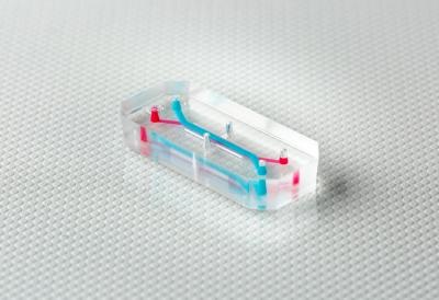 The Intestine-Chip is made from a flexible polymer and features tiny channels that can be lined with thousands of living human cells. Source: Emulate, Inc.