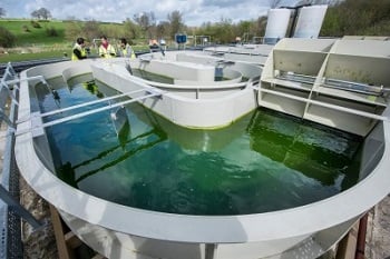 One of the HRAPs operating at Wessex Water. Image credit: University of Bath