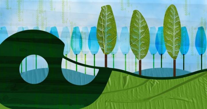 This is an illustration representing the transformation of trees into tape. Engineers at the University of Delaware have developed a novel process to make tape out of a major component of trees and plants called lignin. Source: University of Delaware/ Illustration by Joy Smoker