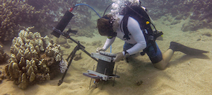 Underwater Microscope Allows In-Situ Viewing of Marine Microorganisms ...