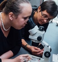 Eteri Svanidze (left) and Emilia Morosan in the laboratory. Image credit: Jeff Fitlow/Rice University.