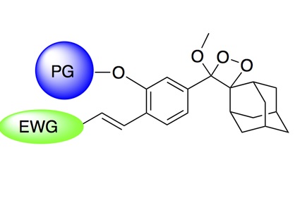 Chemical structure of the "glow stick" probe. (Prof. Doron Shabat)