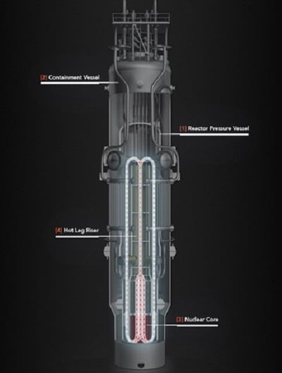 Schematic of the reactor. Source: NuScale Power