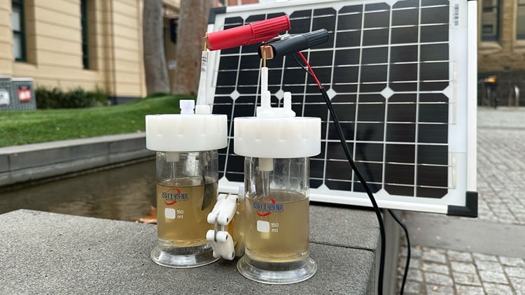 Wastewater as a source of green hydrogen