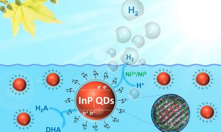 Schematic of photocatalytic hydrogen production with indium phosphide/zinc sulfide quantum dots in a typical assay. Source: Shan Yu, Southwest Petroleum University