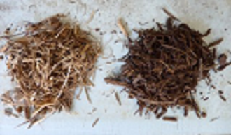 Project partners are investigating the torrefaction of various lignocellulosic substrates, including pruning (left untreated, right torrefied). Source: Fraunhofer IGB
