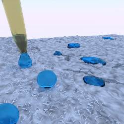 The surface of the hybrid mortar is covered with tiny crystalline spikes, resulting in the so-called lotus effect. Image credit: Stefan Grumbein/TUM).