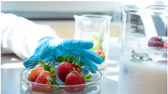 Seaweed coating keeps strawberries fresh longer than refrigeration