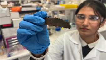 Eucalyptus bark waste gets a second life as a carbon filter for cleaner air, water