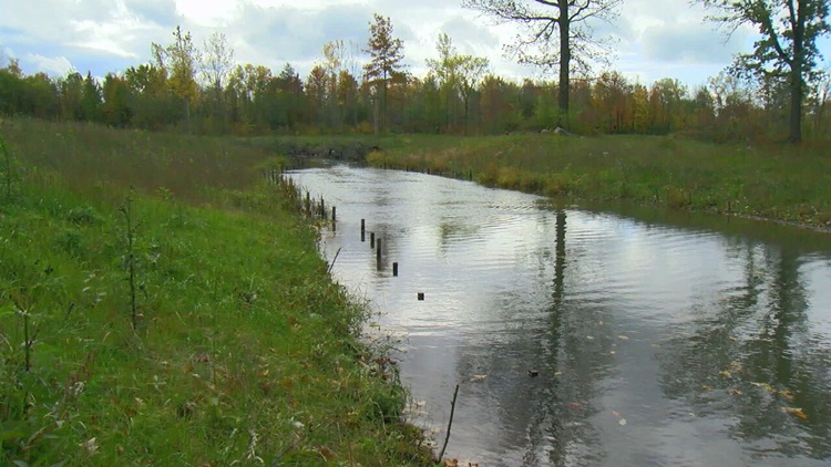 Perilous pollutants persist in US waters