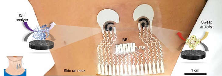 Watch a wearable medical monitor that multitasks | GlobalSpec