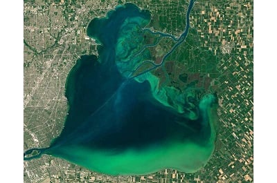 A satellite image of algal blooms on Lake Erie. Source: NASA