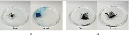 (a) An aluminum foil boat placed on 2 M HCl solution is damaged after just 8 minutes, indicated by the leakage of methylene blue solution, and completely dissolves away after 20 minutes. (b) Another aluminum boat coated with reduced graphene oxide/oil film stays intact after a day, when the dye solution has dried out, showing that the coating is stable on metal surface with complex geometry and sharp corners. Source: Northwestern University
