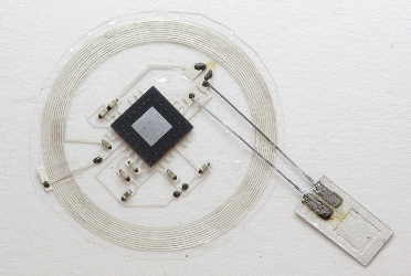 The sensor connects to an embeddable wireless transmitter that lies on top of the skull. Image credit: John Rogers.