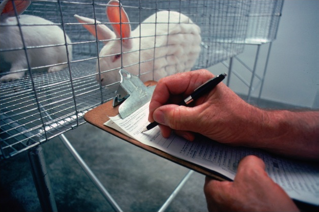 PETA India to Discuss Big Data Versus Animal Experimentation | GlobalSpec