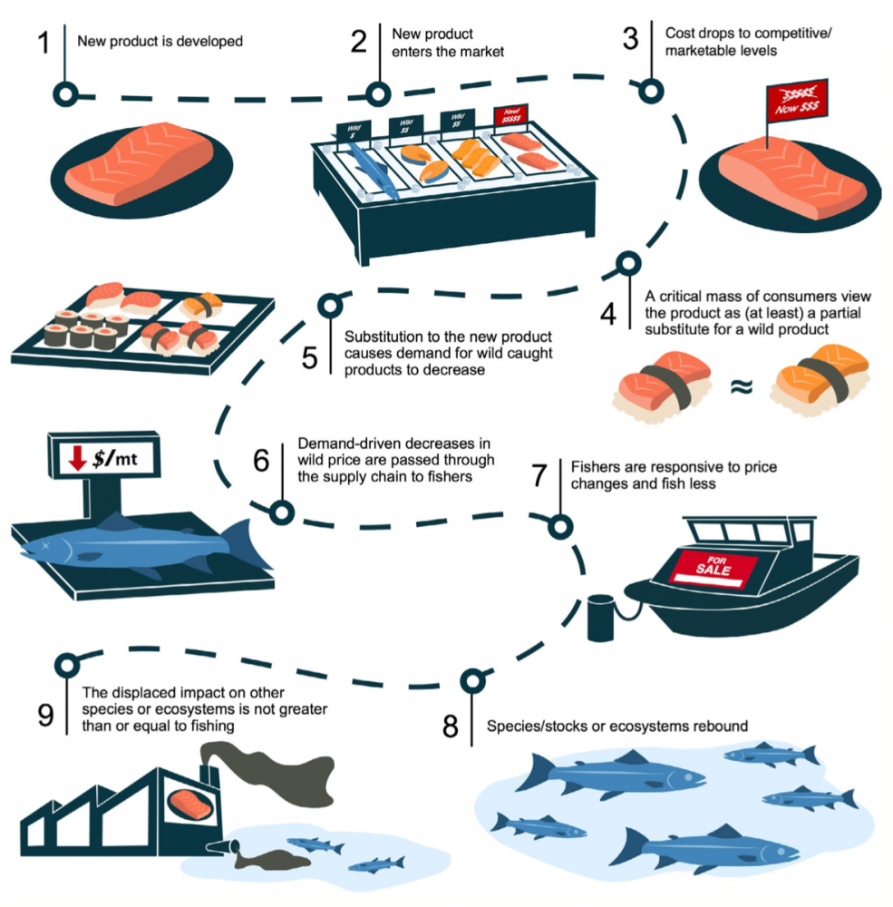 A nine-step path from the development of cell-based seafood to conservation benefits. Source: HALPERN ET AL.