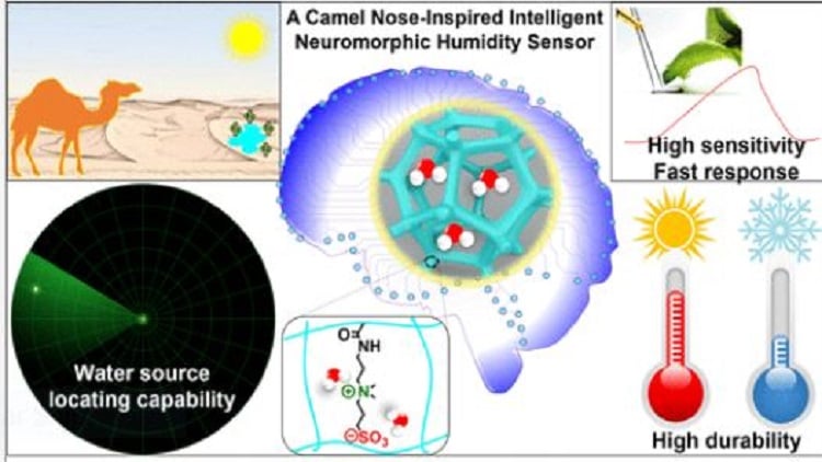 How the camel nose improves humidity sensor design