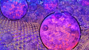 Hydrogen gas bubbles evolve from water at tantalum disulfide electrocatalyst surfaces. Image credit: Ryan Chen/LLNL