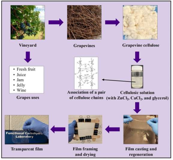 Source: Sustainable Food Technology (2025). DOI: 10.1039/D5FB00211G