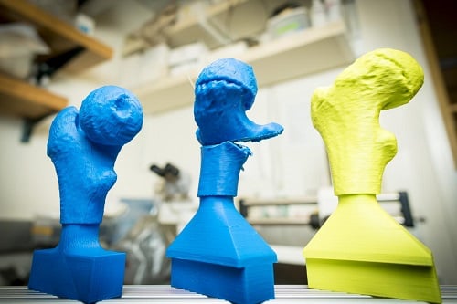 Engineers used CT scans to 3D print custom-made hip joints for surgeons to practice on before surgery. Source: UCSD