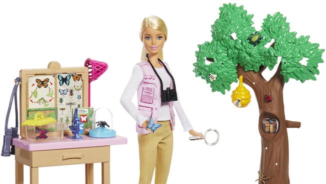 barbie stem dolls