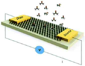 Schematic design of the flat or patterned multilayered graphene-based sensors for cancer marker detection. Source: University of Exeter