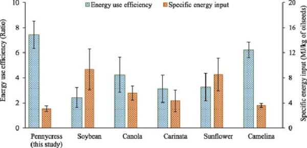 The energy efficiency of pennycress versus other biofuel crops for jet fuel production. Source: Seyed Hashem Mousavi-Avval and AjayShah/Ohio State University
