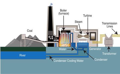 (Click to enlarge.) Diagram showing basic operation of a coal-fired power plant with a steam turbine at its core. Image source: Wikipedia