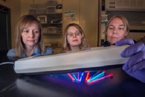 Lauren Rohwer, Dorina Sava Gallis and Kim Butler (left to right) examine tubes of glowing MOF nanoparticles that they designed, synthesized and tested. Source: Randy Montoya