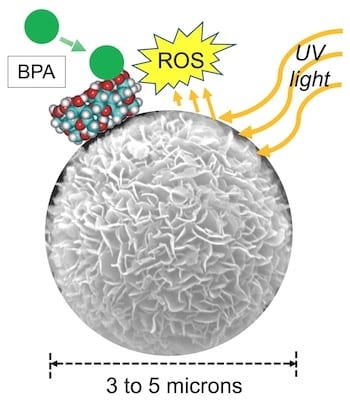 dioxide titanium bpa water trap spheres enhance degradation photocatalytic particles contaminant terminate trick university aau