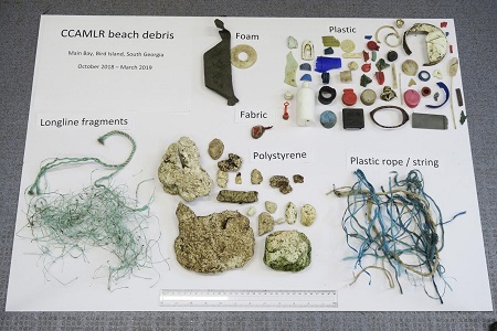 Examples of plastic debris recovered from Main Bay, Bird Island, October 2018–March 2019. Source: Claire M. Waluda et al.