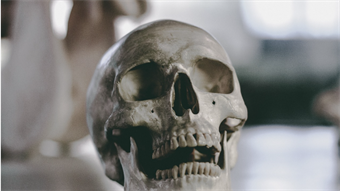 ‘Nanobone’ gives the body a new way to regrow bone