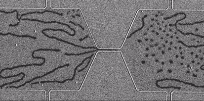 When electric current is applied to the metal layers, the stripes (left) stretched through the channel and broke into tiny skyrmion bubbles (right). Image credit: Argonne National Laboratory