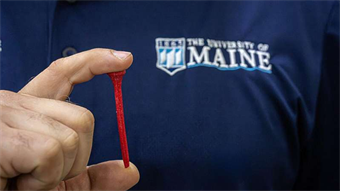 Lobster shells make a powerful comeback as sustainable golf tees