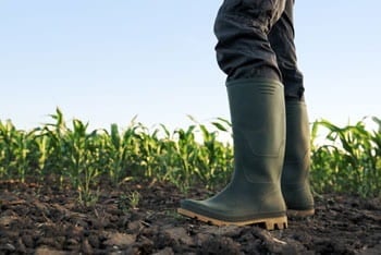 A market system is planned for the voluntary trading of carbon removal and storage in soils owned by farmers and ranchers. Source: 123RF.com/Rice University