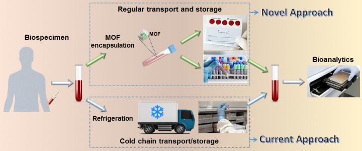 Nanotech Eliminates Need for Refrigeration in Biospecimen Transport