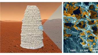 Yeast joins the race to build strong, 3D-printed homes on Mars