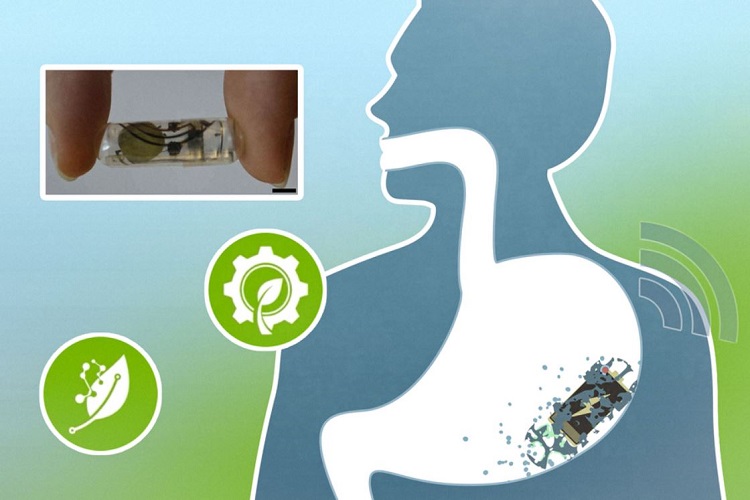 The MIT battery could be used to stimulate hunger in patients or used to monitor drug delivery and then absorbed by the stomach over weeks. Source: MIT 