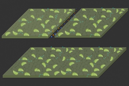 As shown in the illustration, a crack in the new material (top) is repaired by reaction with carbon dioxide. Source: MIT News/courtesy of the researchers
