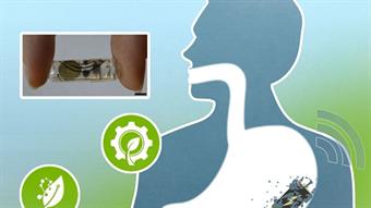 Video: This battery absorbs in the stomach in weeks