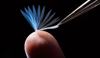 Time-lapse photo of a shape-shifting polymer. Image source: J. Adam Fenster/University of Rochester.